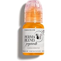 新品 Perma Blend ニュートラライジング リップ タトゥー キット Amazon.com: Perma Blend Neutralizing Tattoo Ink Set for